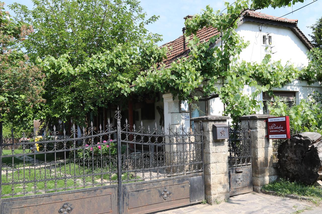 Bed and Breakfast Pataky Borporta Тарцаль Экстерьер фото
