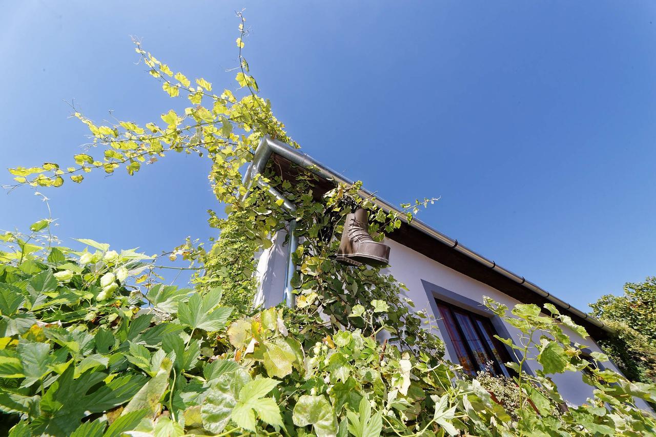 Bed and Breakfast Pataky Borporta Тарцаль Экстерьер фото